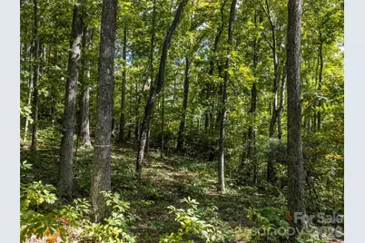 Tbd Orange Plum Lane #4, Asheville, NC 28803 - Photo 18