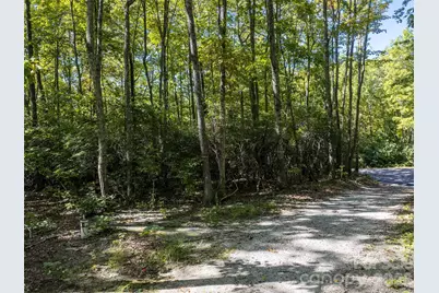 Tbd Orange Plum Lane #4, Asheville, NC 28803 - Photo 20