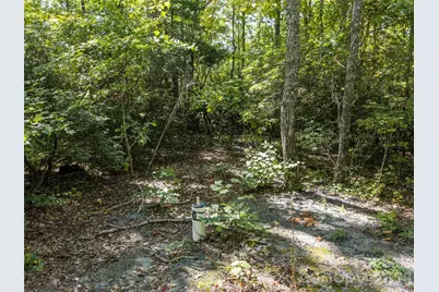 Tbd Orange Plum Lane #4, Asheville, NC 28803 - Photo 14