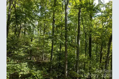 Tbd Orange Plum Lane #4, Asheville, NC 28803 - Photo 10