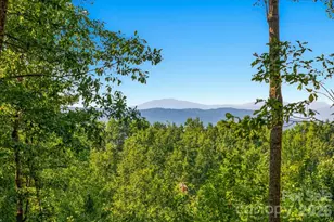 149 + 207 Mossy Oak Trail, Nebo, NC 28761 - Photo 1
