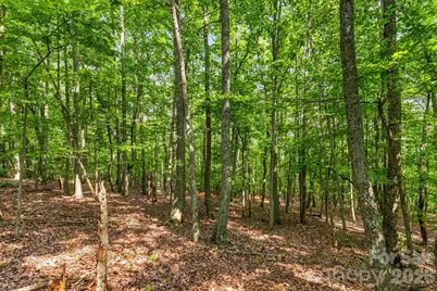 149 + 207 Mossy Oak Trail #167 + 166, Nebo, NC 28761 - Photo 44
