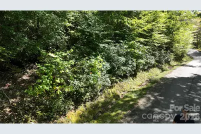Lot 8 South View Trail #8, Banner Elk, NC 28604 - Photo 28