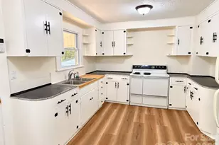 45 Briggs Rd, Asheville, NC 28805 - Photo 6