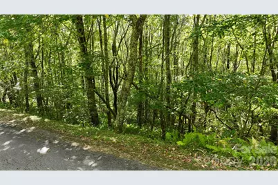 Lot 1 South View Trail #1, Banner Elk, NC 28604 - Photo 28