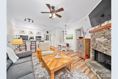 2521 Wolf Laurel Road #101, Mars Hill, NC 28754 - Photo 4