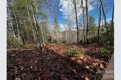 54 Winghaven Drive #41, Nebo, NC 28761 - Photo 4