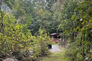 340 Wayah Zooshuga Rd, Maggie Valley, NC 28751 - Photo 22