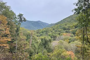 340 Wayah Zooshuga Rd, Maggie Valley, NC 28751 - Photo 4