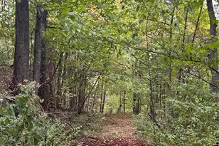 340 Wayah Zooshuga Rd, Maggie Valley, NC 28751 - Photo 24