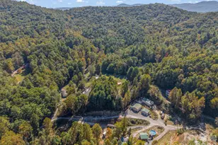 468 Willow Springs Cove, Hendersonville, NC 28739 - Photo 40