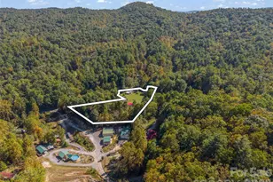468 Willow Springs Cove, Hendersonville, NC 28739 - Photo 34