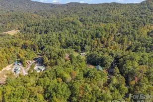 468 Willow Springs Cove, Hendersonville, NC 28739 - Photo 38