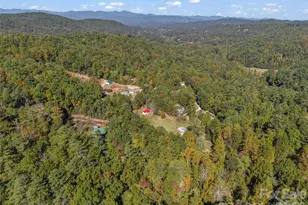 468 Willow Springs Cove, Hendersonville, NC 28739 - Photo 36