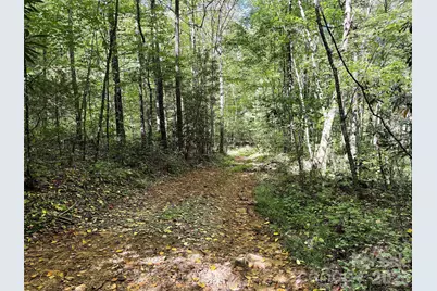 0 Wiggins Creek Road, Bryson City, NC 28713 - Photo 10