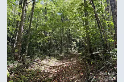 0 Wiggins Creek Road, Bryson City, NC 28713 - Photo 14