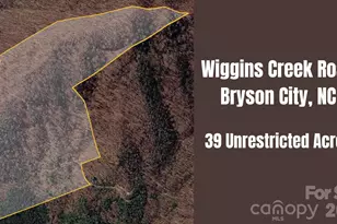 0 Wiggins Creek Rd, Bryson City, NC 28713 - Photo 1