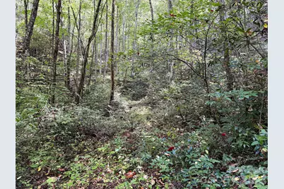 0 Wiggins Creek Road, Bryson City, NC 28713 - Photo 12