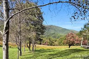 206 Sams Trail, Waynesville, NC 28786 - Photo 24