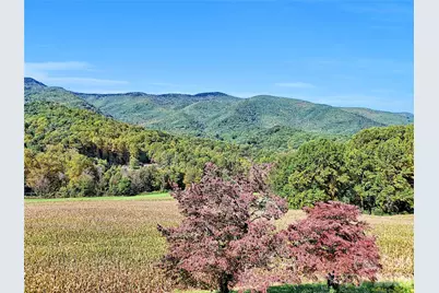 206 Sams Trail #15, Waynesville, NC 28786 - Photo 28