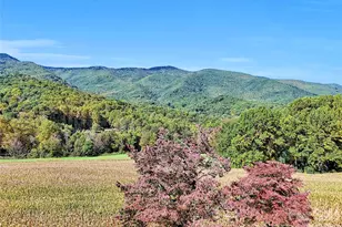 206 Sams Trail, Waynesville, NC 28786 - Photo 28