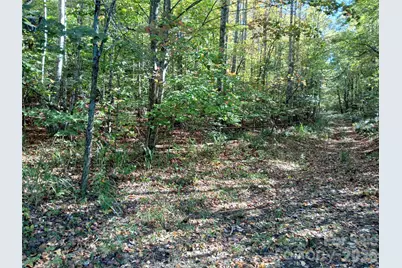 11 Melrose Lake Road, Saluda, NC 28773 - Photo 8