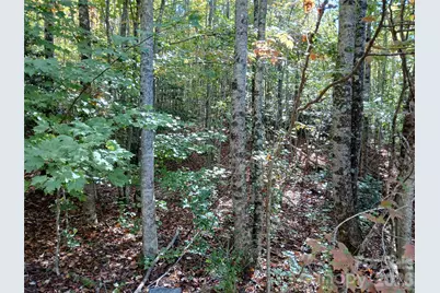 11 Melrose Lake Road, Saluda, NC 28773 - Photo 14