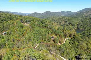 111 Elkhound Rd, Waynesville, NC 28785 - Photo 10