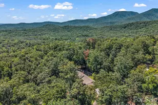 280 Overlook Cir, Tryon, NC 28782 - Photo 48