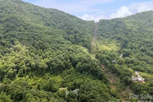 99 Settings Blvd, Black Mountain, NC 28711 - Photo 1
