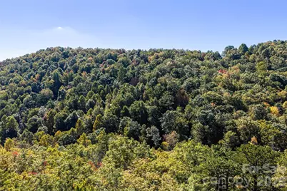 Tbd Burnt Ridge Trail, Black Mountain, NC 28711 - Photo 14