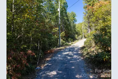 Tbd Burnt Ridge Trail, Black Mountain, NC 28711 - Photo 4
