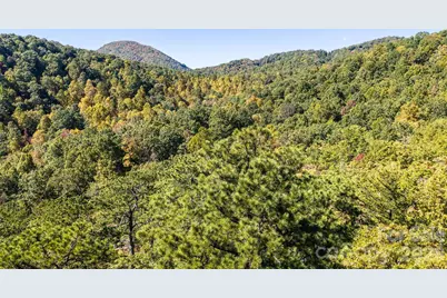 Tbd Burnt Ridge Trail, Black Mountain, NC 28711 - Photo 16