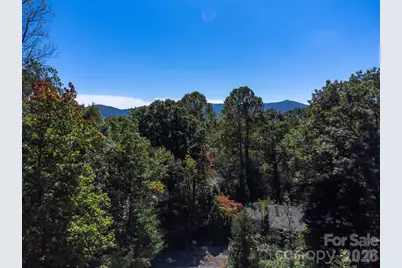 21 W Keesler Street, Black Mountain, NC 28711 - Photo 16