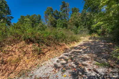 21 W Keesler Street, Black Mountain, NC 28711 - Photo 10