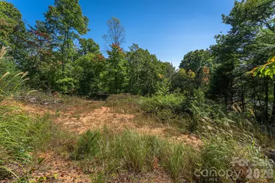 21 W Keesler Street, Black Mountain, NC 28711 - Photo 4