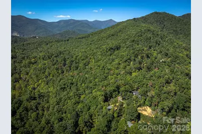 21 W Keesler Street, Black Mountain, NC 28711 - Photo 14