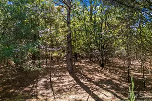 7215 Cunningham Ln, Indian Trail, NC 28079 - Photo 2