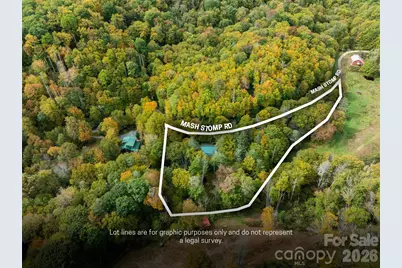 758 Mashstomp Road, Maggie Valley, NC 28751 - Photo 8