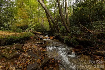 758 Mashstomp Road, Maggie Valley, NC 28751 - Photo 28