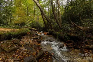 758 Mash Stomp Rd, Maggie Valley, NC 28751 - Photo 28