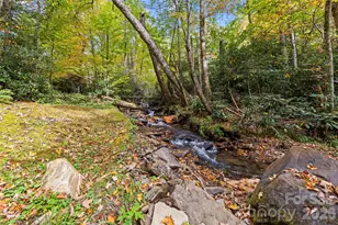 758 Mash Stomp Rd, Maggie Valley, NC 28751 - Photo 36