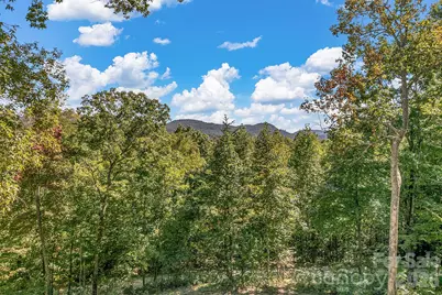 135 Bald Eagle Drive, Hendersonville, NC 28792 - Photo 20