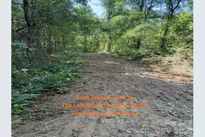 83 Union Chapel Road, Weaverville, NC 28787 - Photo 6