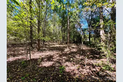 Lot 167 Brangus Lane, Cheraw, SC 29520 - Photo 6