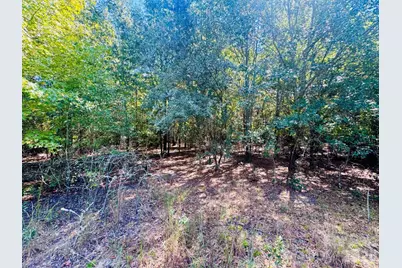 Lot 167 Brangus Lane, Cheraw, SC 29520 - Photo 1
