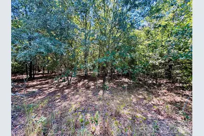Lot 167 Brangus Lane, Cheraw, SC 29520 - Photo 2