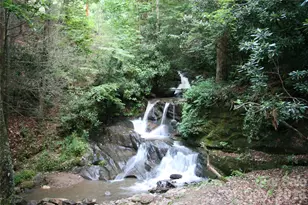 1000 Cane Creek Rd, Sylva, NC 28779 - Photo 2