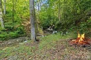 1000 Cane Creek Rd, Sylva, NC 28779 - Photo 20