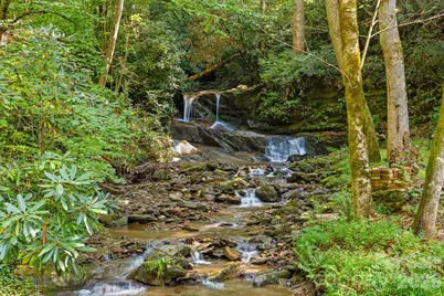 1000 Cane Creek Road, Sylva, NC 28779 - Photo 14